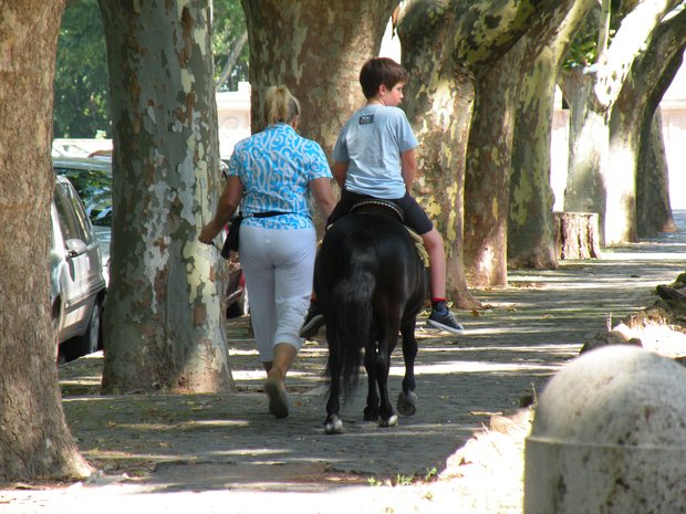  enfant faisant du poney
